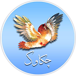 چکاوک