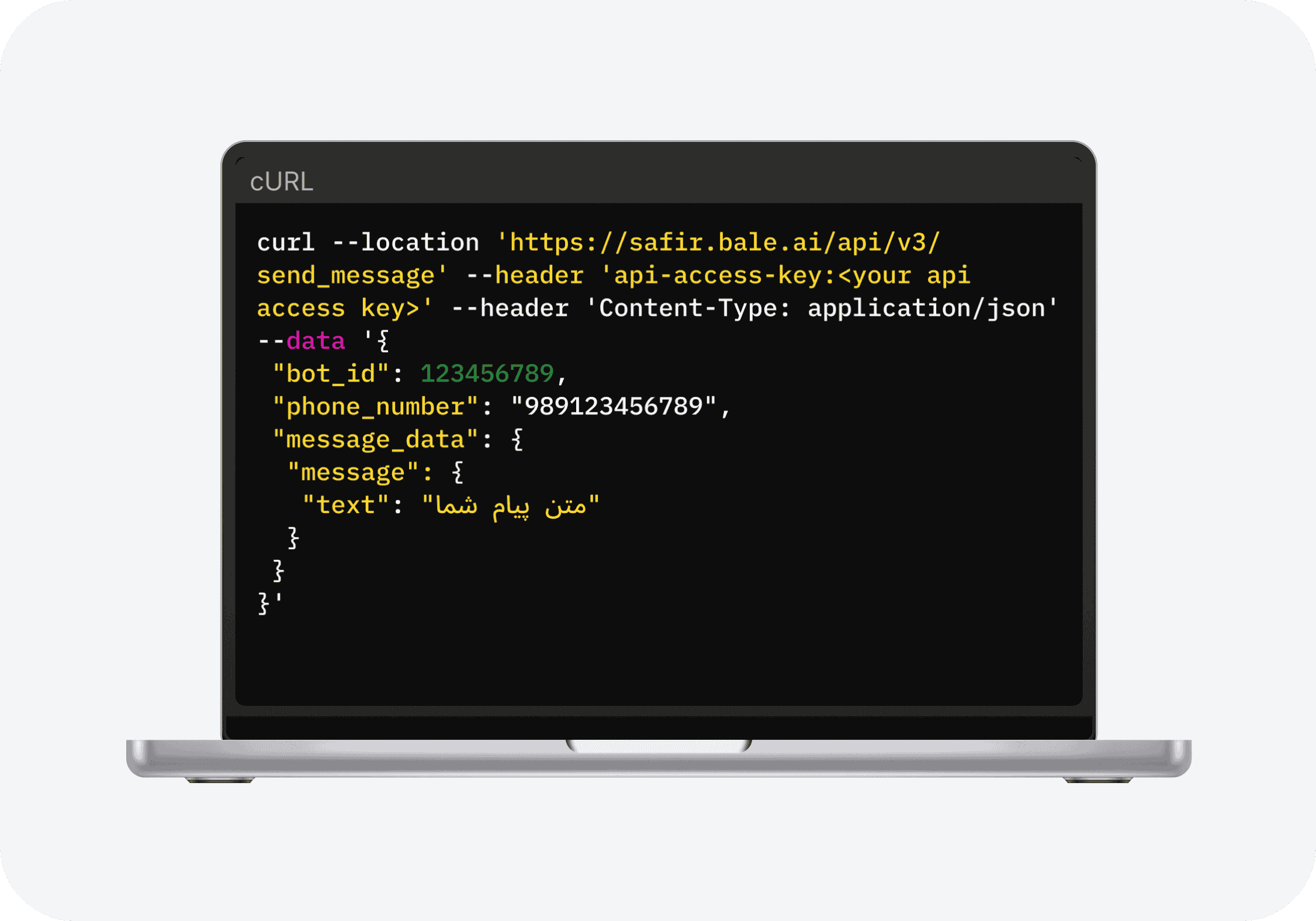 وبسرویس ارسال پیام